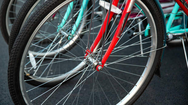 Протяженность велосети Петербурга приближается к 160 км