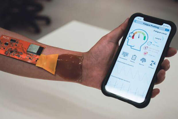 Nature: создан датчик для оценки стресса по электрической активности кожи