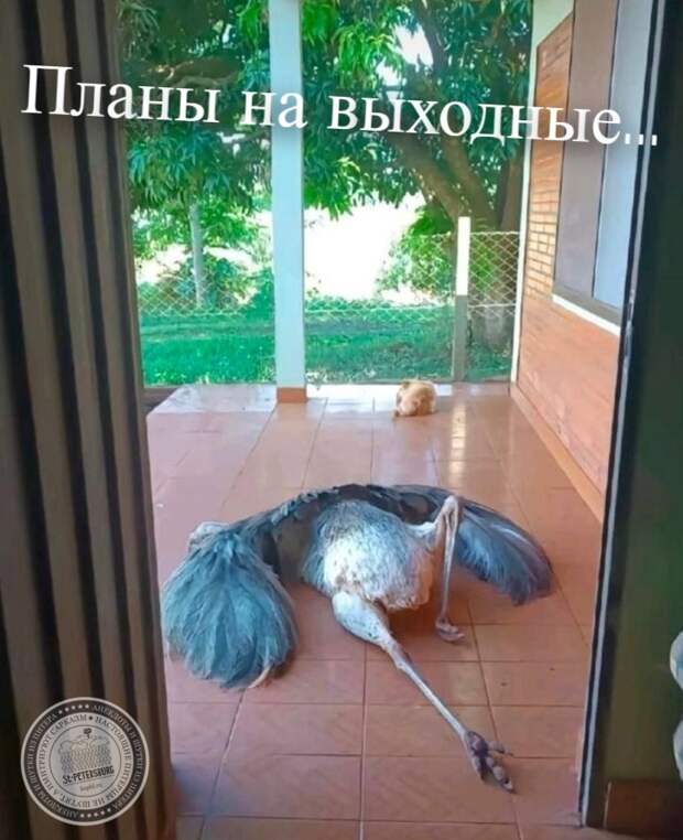 Выходные