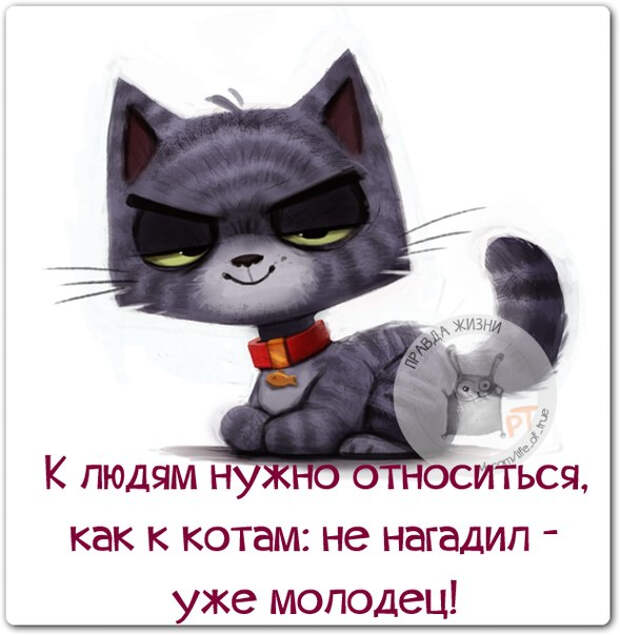 130123359_5672049_1405650234_frazki8 (589x604, 181Kb)