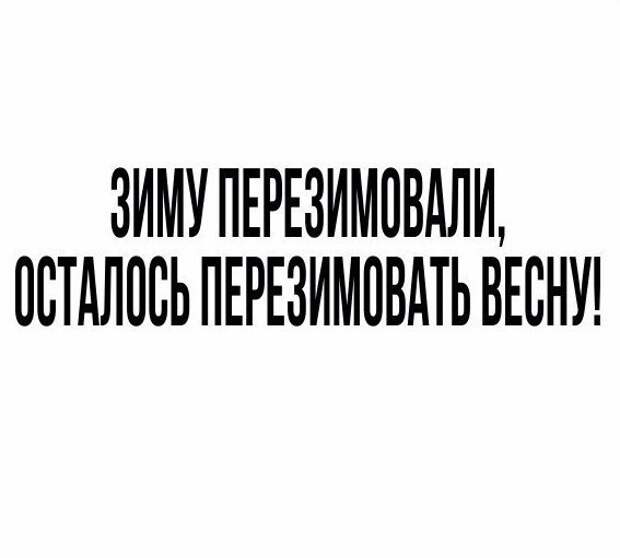 Картинки, юмор, приколы
