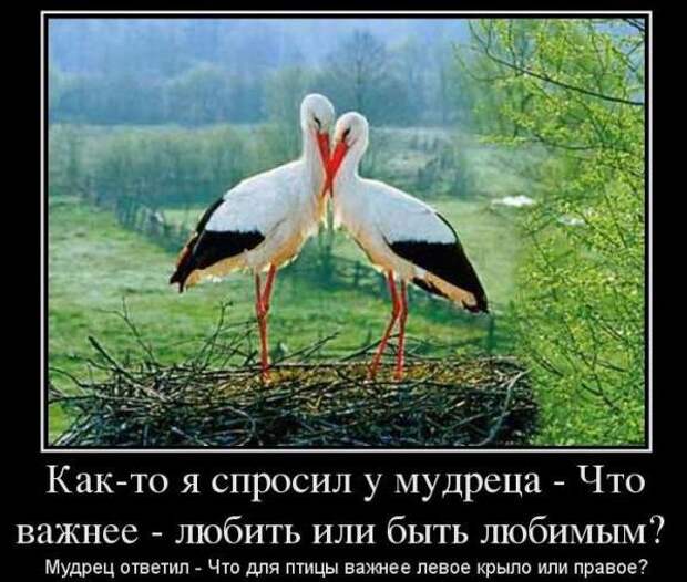 Зачетные и смешные демотиваторы из нашей жизни (11 фото) Зачетные и смешные демотиваторы из нашей жизни (11 фото)