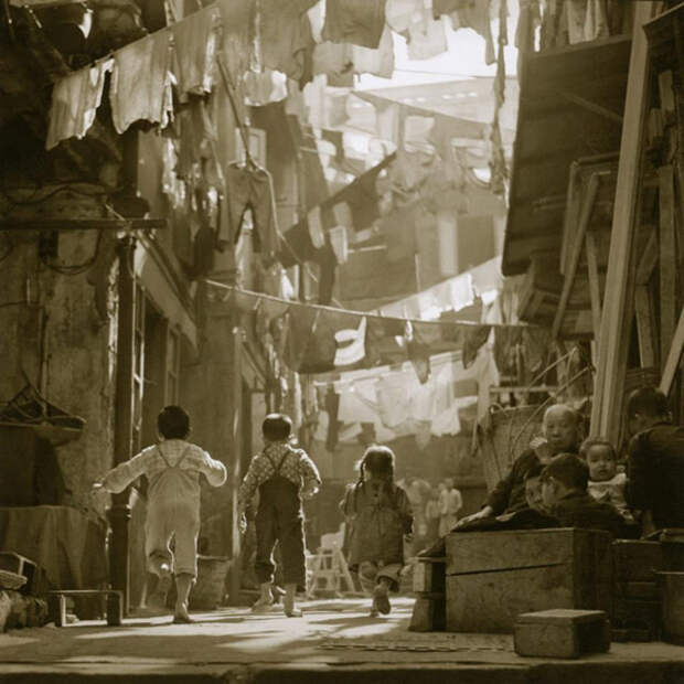 fan ho 05