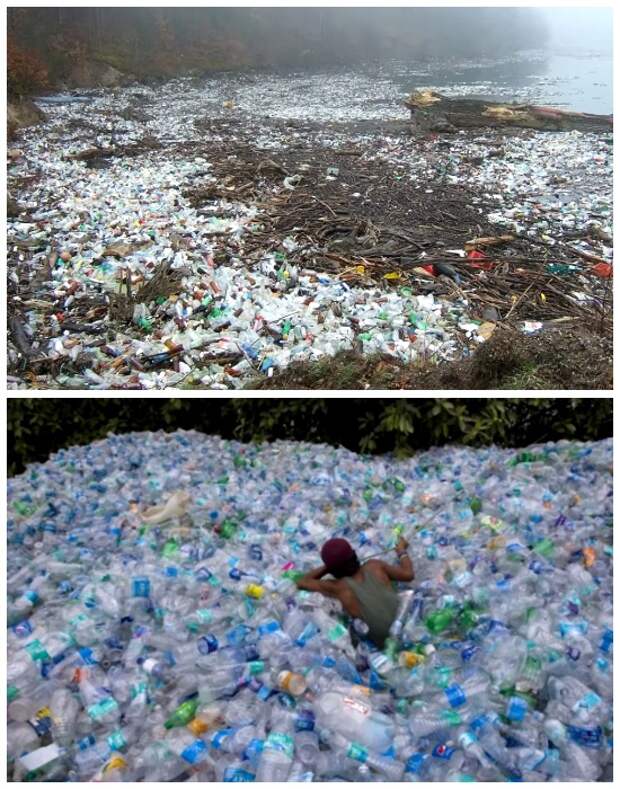 За полтора года волонтеры во главе с Робертом Безо собрали более миллиона бутылок и очистили все пляжи (о. Бокас-дель-Торо, Панама). | Фото: youtube.com.