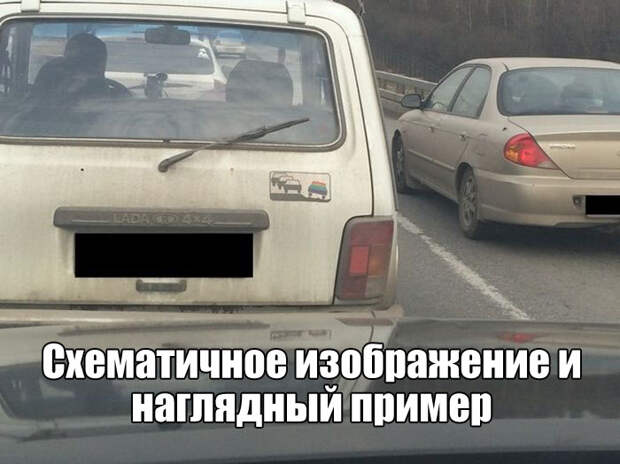 Прикольные картинки. Вечерний выпуск (67 фото)