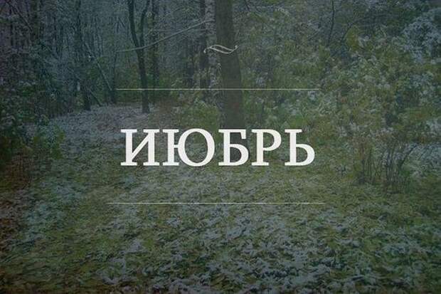 Высказывания, которые поразят вас своей точностью (24 картинки)