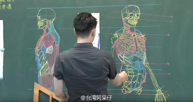 Как преподают человеческую анатомию в Китае анатомия, китай, учитель, школа