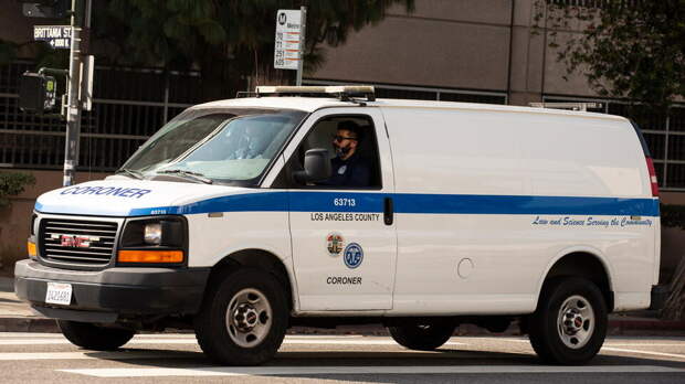 Приемная дочь звезды сериала "Коломбо" Питера Фалька покончила с собой