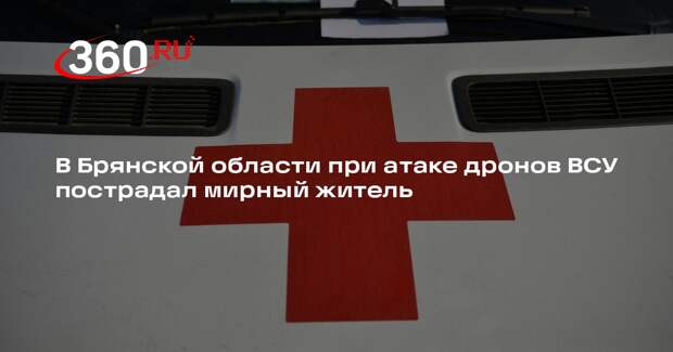 В Брянской области при атаке дронов ВСУ пострадал мирный житель