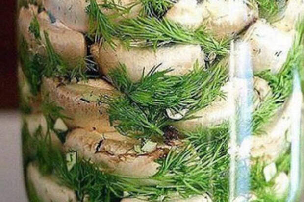 Малосольные шампиньоны на скорую руку — мировой рецептик!