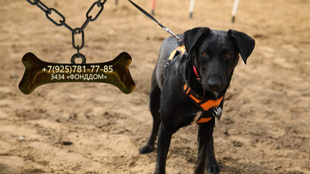 Грациозная Марта