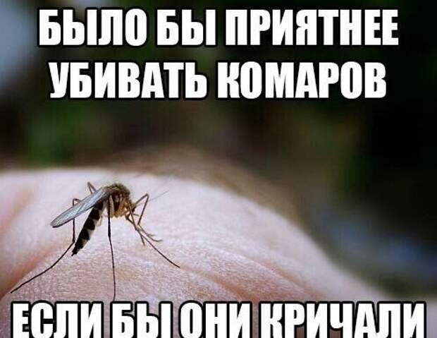Смешные картинки с надписями Смешные картинки с надписями прикол, юмор