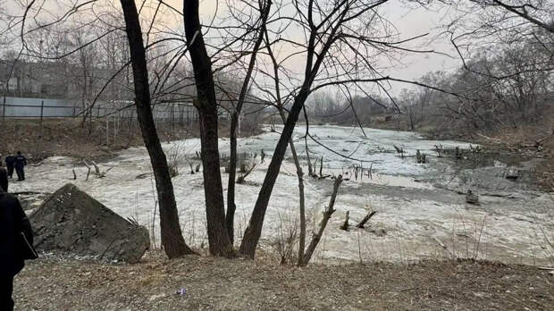 Восьмилетний мальчик провалился под лед и утонул в Хабаровске