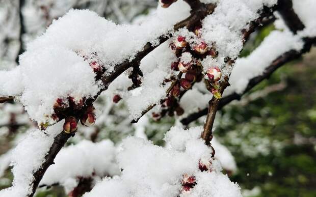 МЧС: в Рязанской области температура упадет на 5°С за сутки