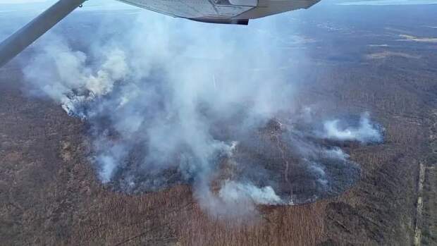 Огонь выжигает лесные и военные территории Приморья