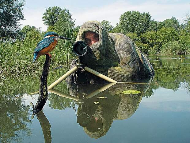 Фотограф в камуфляже снимает птицу