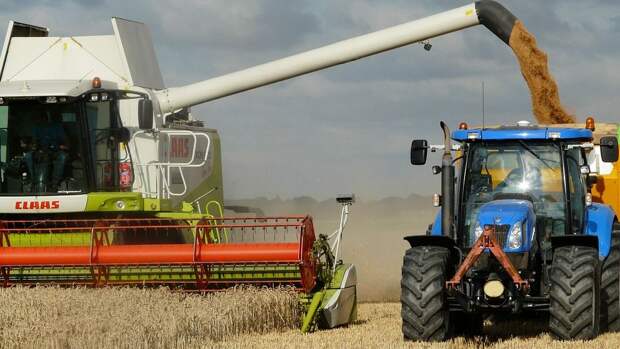 Урожайность в Ростовской области уже бьет рекорды — губернатор