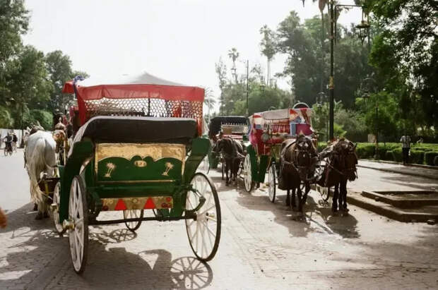 Фото Софии Гугуберидзе