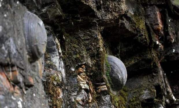 Каменные яйца удивительной горы. / Фото: www.arbresh.info