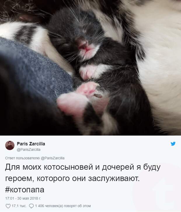Парень нашел под кроватью кошку и новорожденных котят, хотя питомцев у него не было!