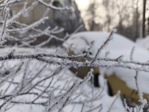 Тулякам рассказали о крещенских морозах и понижении температуры к концу января