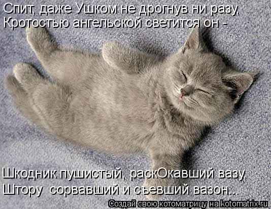 Котоматрица: Спит, даже Ушком не дрогнув ни разу, Кротостью ангельской светится он - Шкодник пушистый, раскОкавший вазу, Штору  сорвавший и съевший вазон.