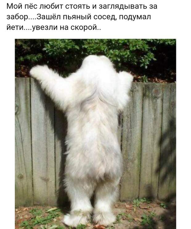 Йети Йети