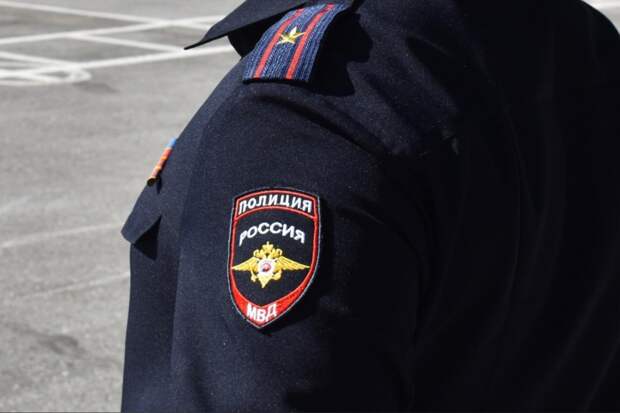 Трое новосибирцев избили и ограбили мужчину в Заельцовском парке