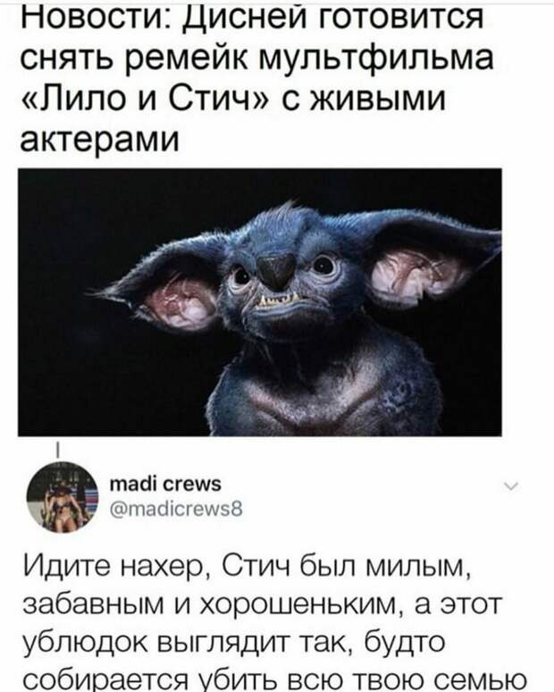 Вот новость, от которой многие начали злиться - превратить милого зверька в такое чудовище. Как вы могли! Но... Вот новость, от которой многие начали злиться - превратить милого зверька в такое чудовище. Как вы могли! Но... вранье, ложь, новости. разоблачение, соцсети, фейк
