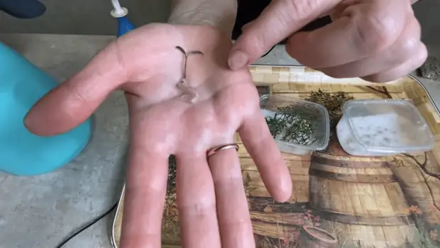 Легкий способ посева томатов, дающий отличный результат