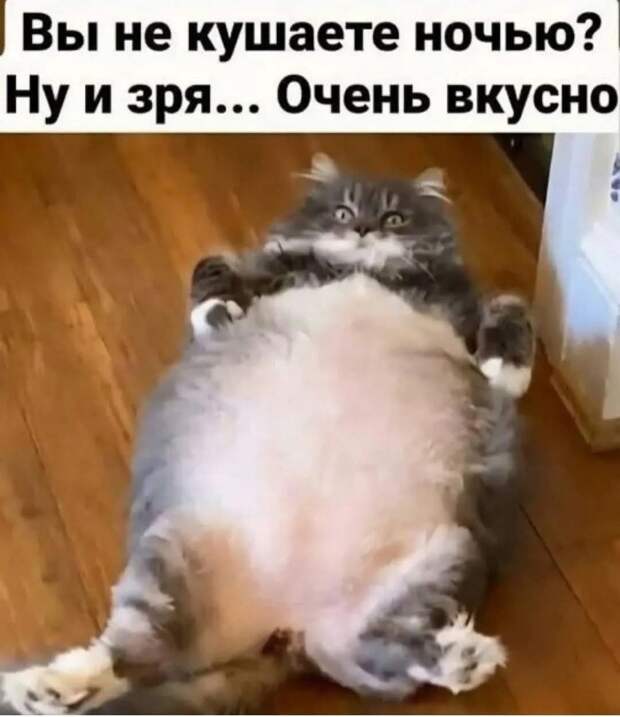 Донецкая группа новостей, Донецк ДНР