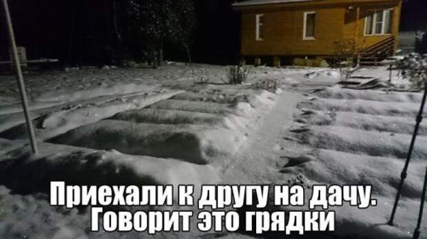Прикольные картинки на каждый день