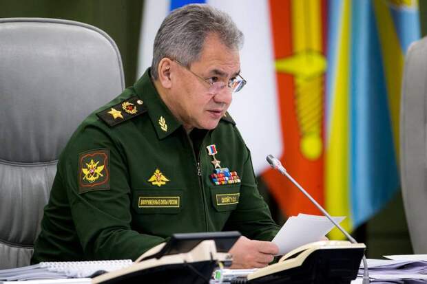 Шойгу: Россия значительно сократила свои Вооружённые силы в Сирии