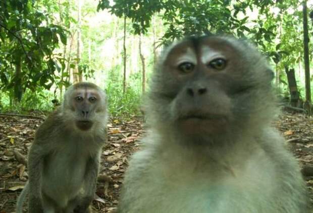 Прикольные картинки абавсём:D (05.05.16)