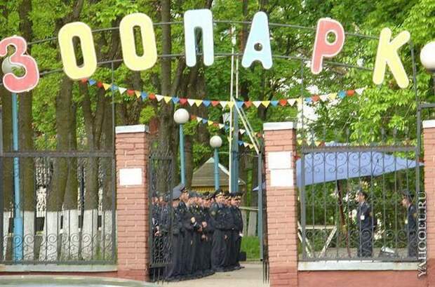 Добро пожаловать в зоопарк! Добро пожаловать в зоопарк!