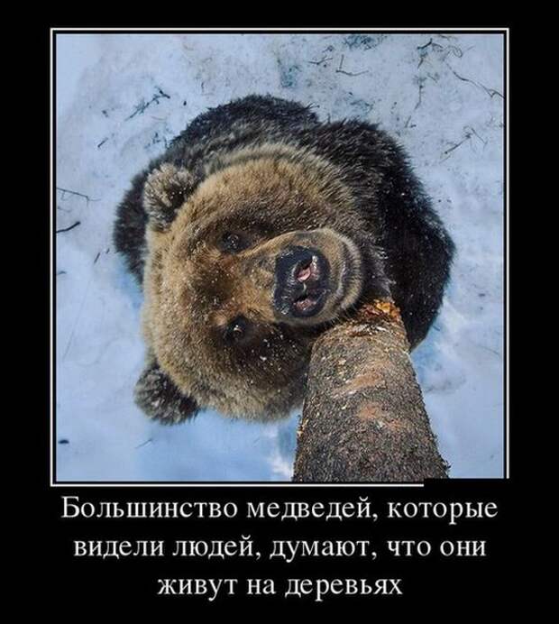 Демотиваторы Демотиваторы