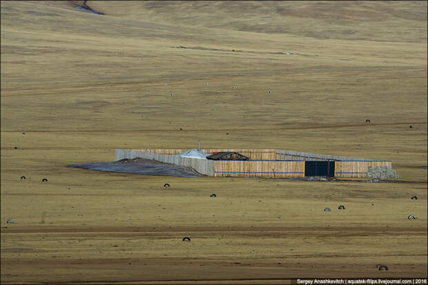 Зачем монголы окружают свои юрты посреди степи забором забор, монголы, степь
