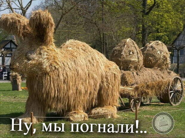 Ну, мы погнали!..