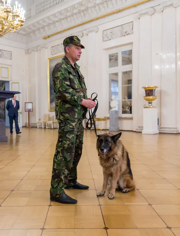 Эрмитаж закрыли раньше времени, людей эвакуировали