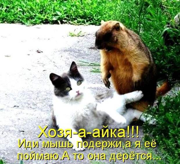 Мысли вслух :)