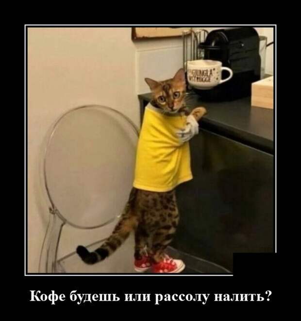 Демотиваторы 18 августа 2020