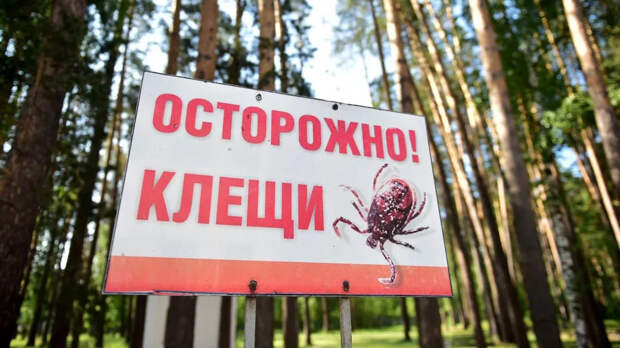 Биолог назвал способы защиты от клещей