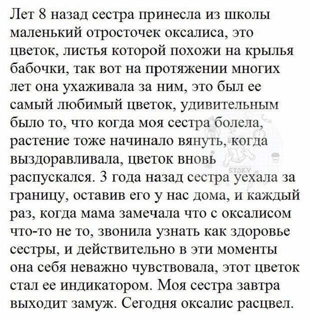 Смешные комментарии и высказывания из социальных сетей Смешные комментарии и высказывания из социальных сетей высказывания, комментарии, прикол