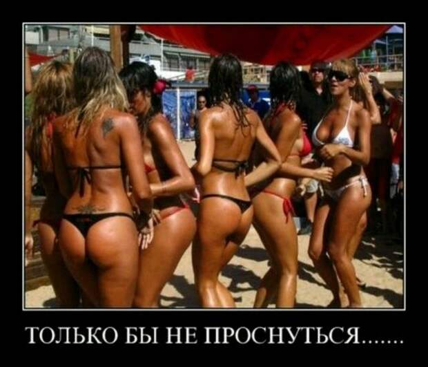 Демотиваторы (30 фото)