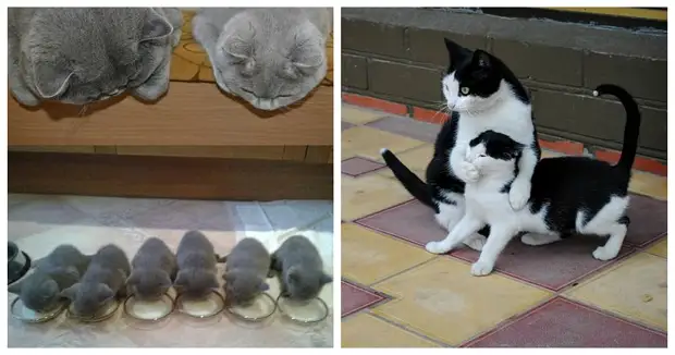 : 50      - 1 - BigPicture.ru