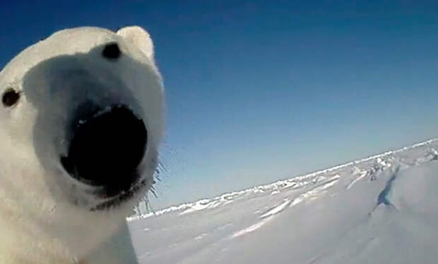 Фото: Геологическая служба США