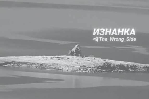 Удар по острову Змеиный попал на видео