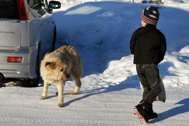На десятки тысяч выросло количество поставленных на учет российских детей