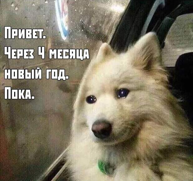 Подборка картинок. Дневной выпуск (32 фото)