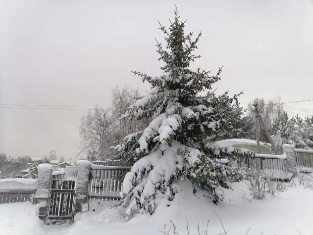 Болгарский "Валли" засыпал Москву и соседние регионы снегом
